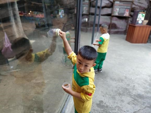 图片10