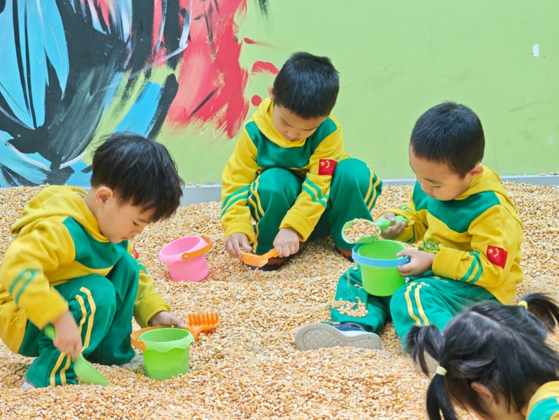 MVIMG_20251104_095248